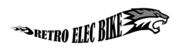Retro Elec Bike